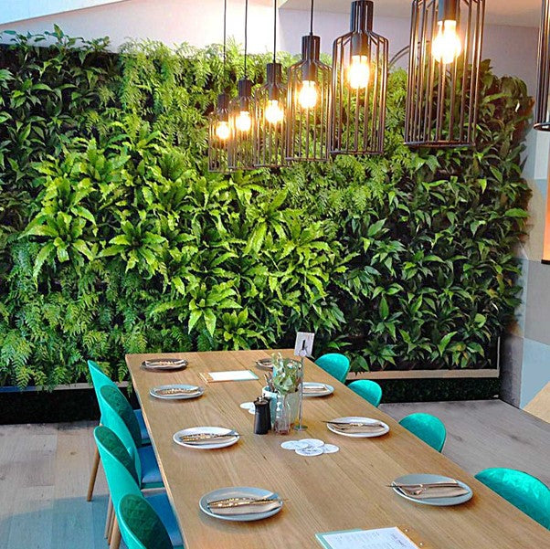 What are the best plants for a vertical garden?