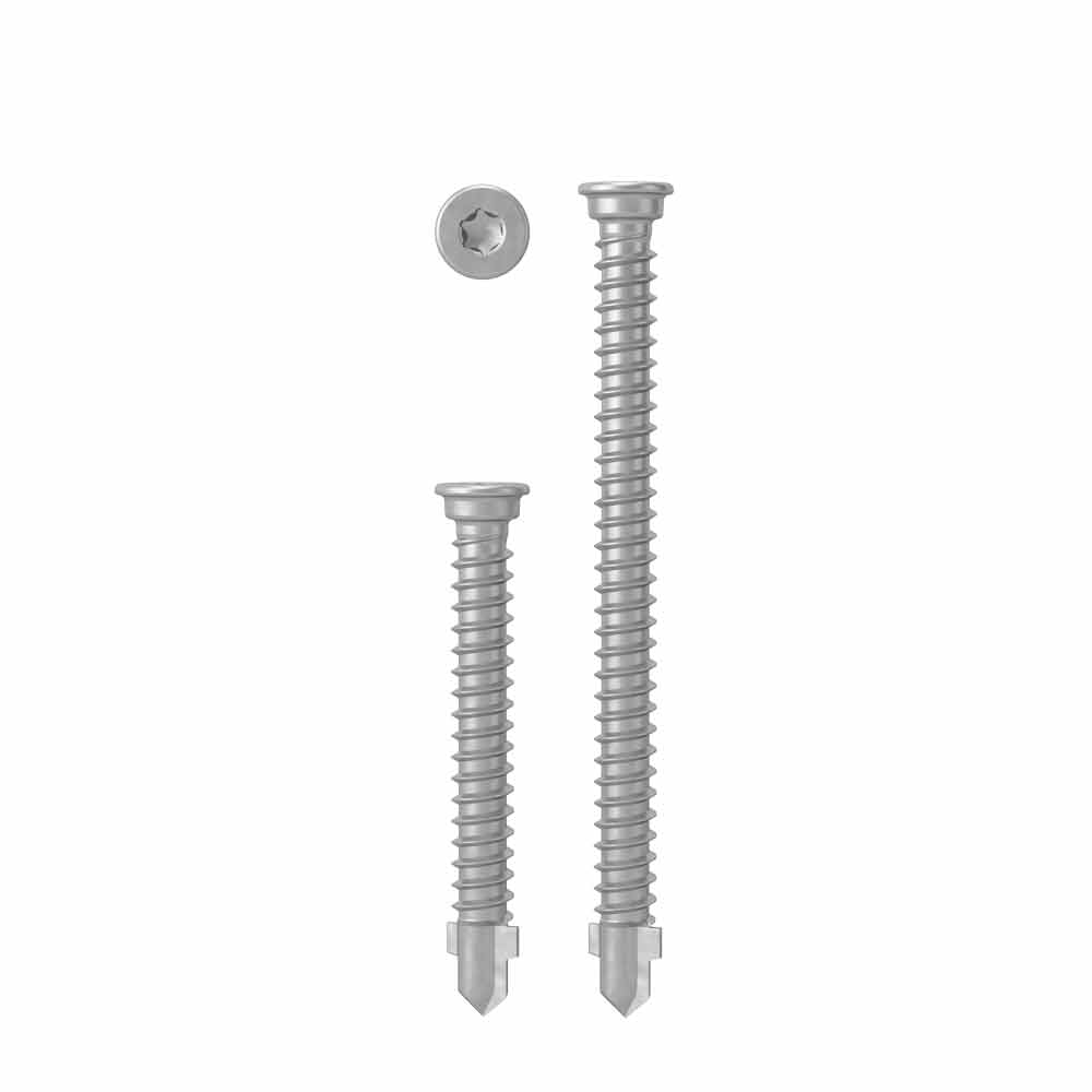 AnchorMark S2-TTA Decking Screw