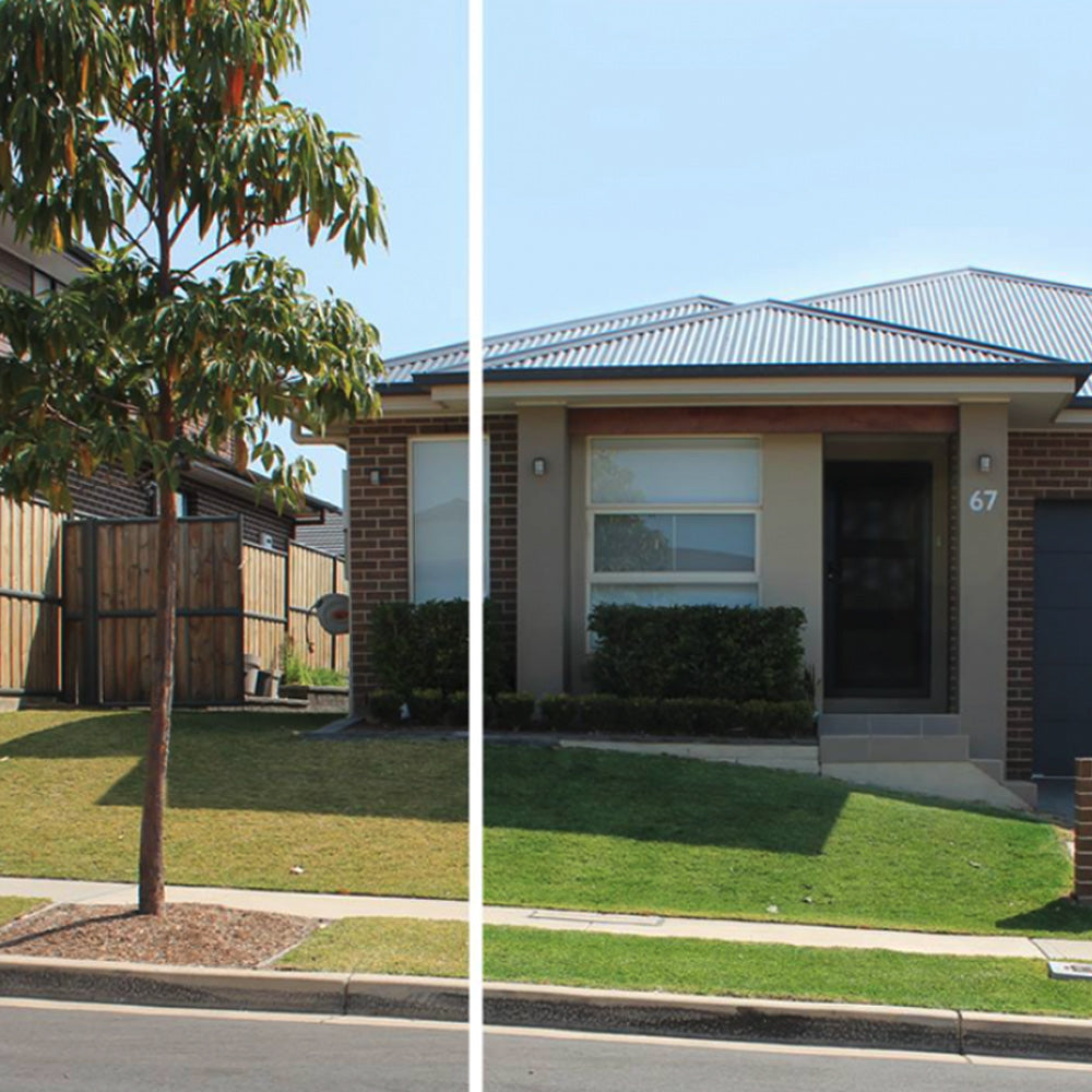 Lawn Solutions ColourGuard Plus 2L