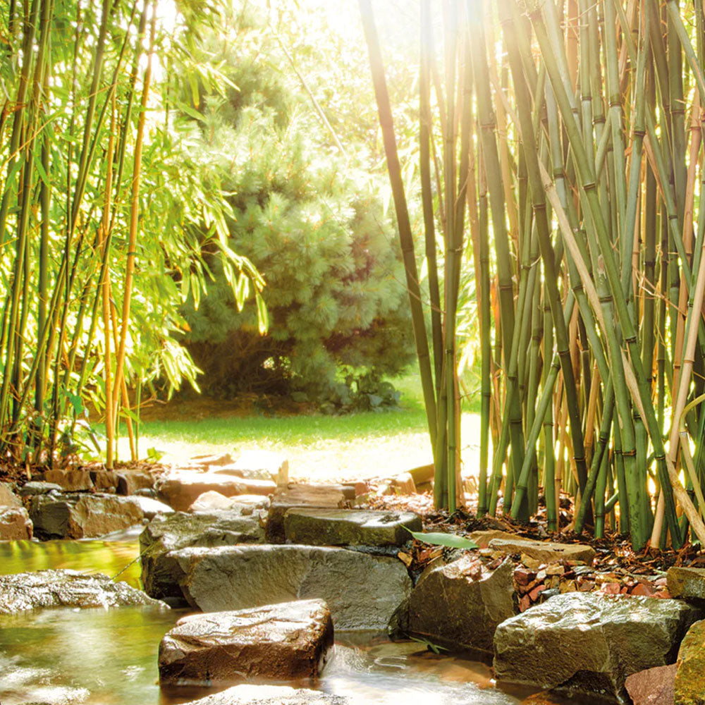 Oase Aquamax Eco Classic Pond Pump