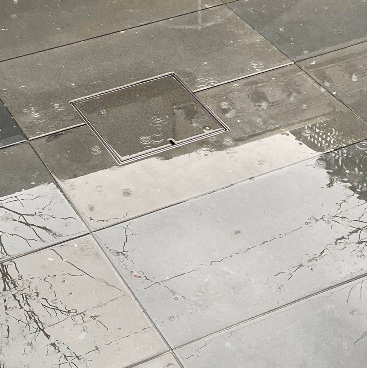 Hide Drain Cover Kit - 314mm