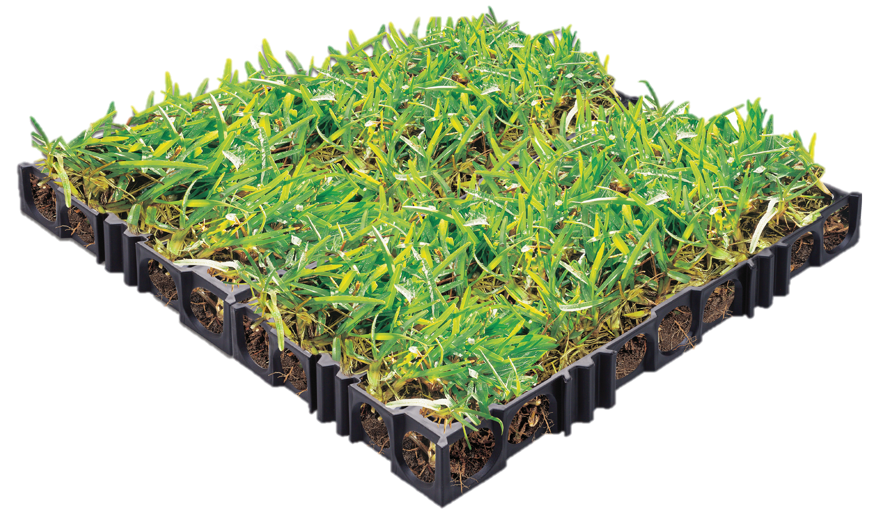 Atlantis - Turf & Gravel Cell