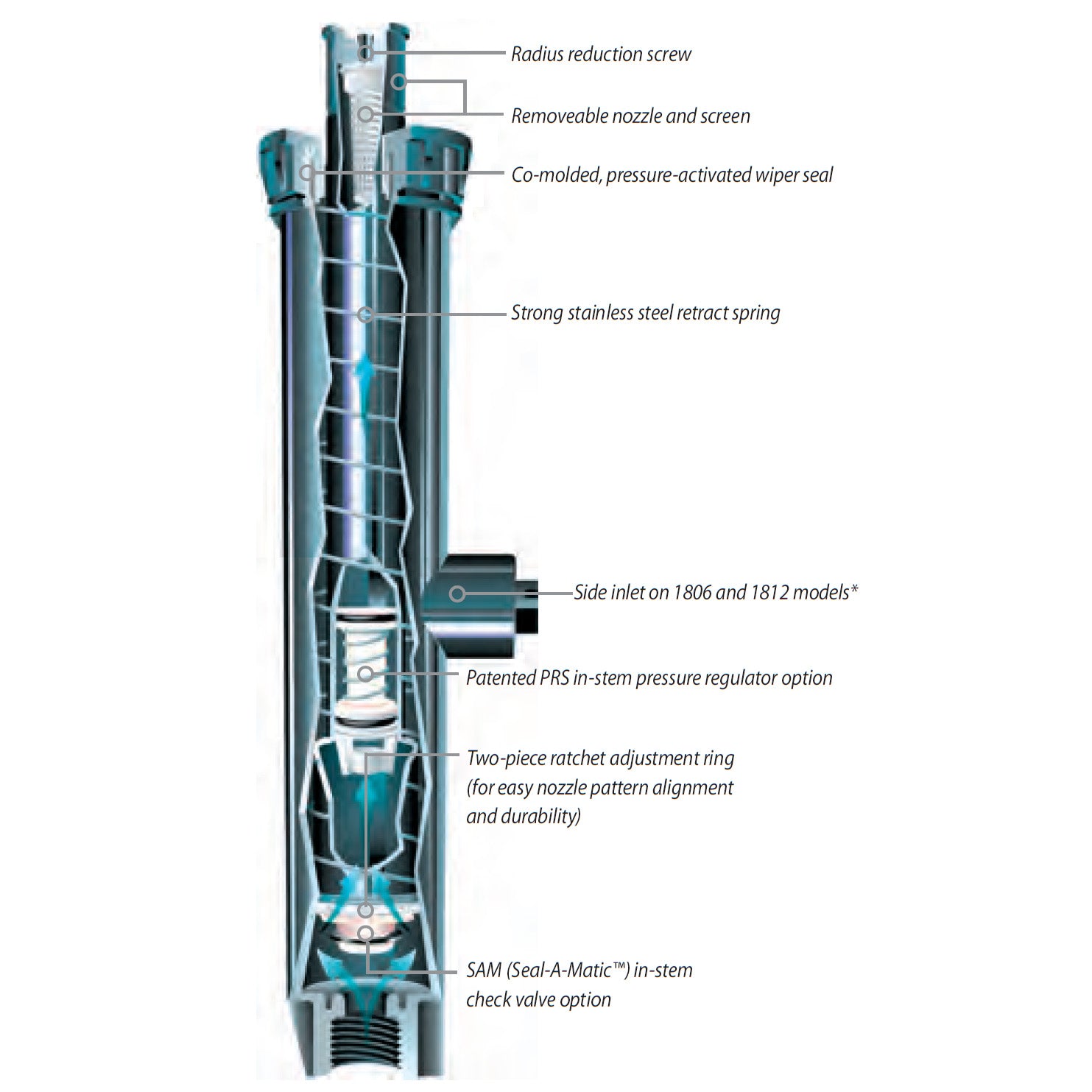RainBird 1800 Series Pop-Up Sprinklers