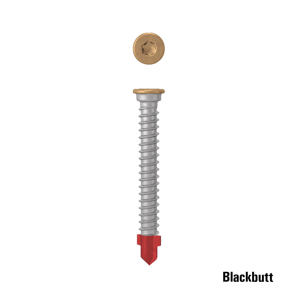 AnchorMark S2 TTM Painted Head Decking Screws