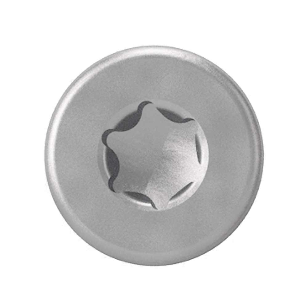 AnchorMark S2 TTM Fencing Screw Delta Seal