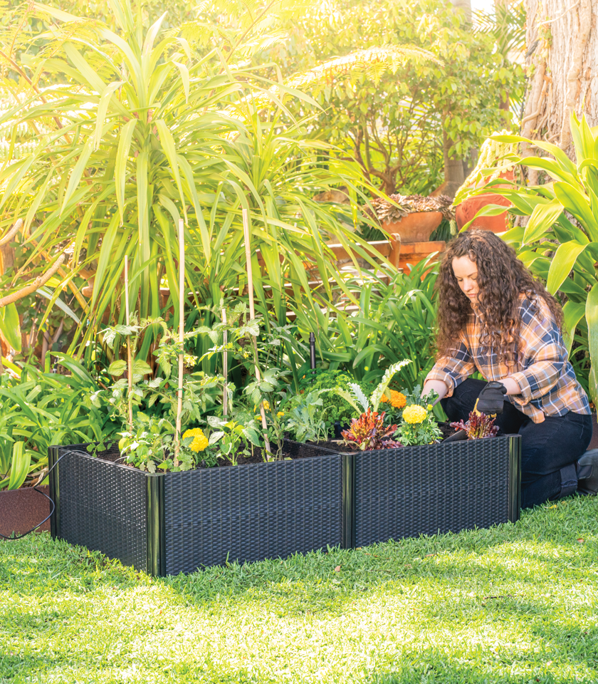 Holman Modular Raised Garden Bed