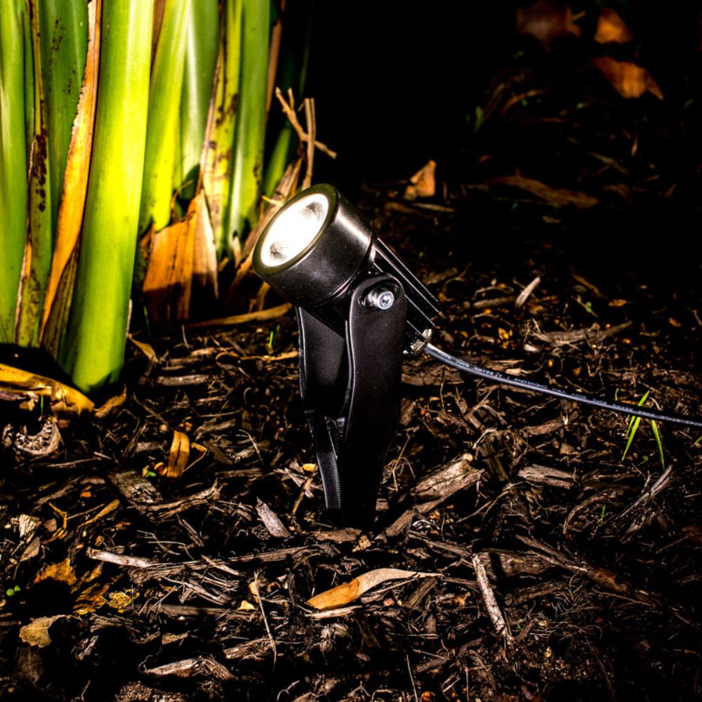 Holman 43mm Warm White LED Spot Light