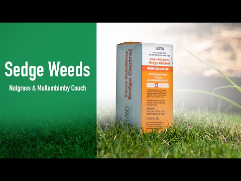 Lawn Solutions Sedge Control 25g