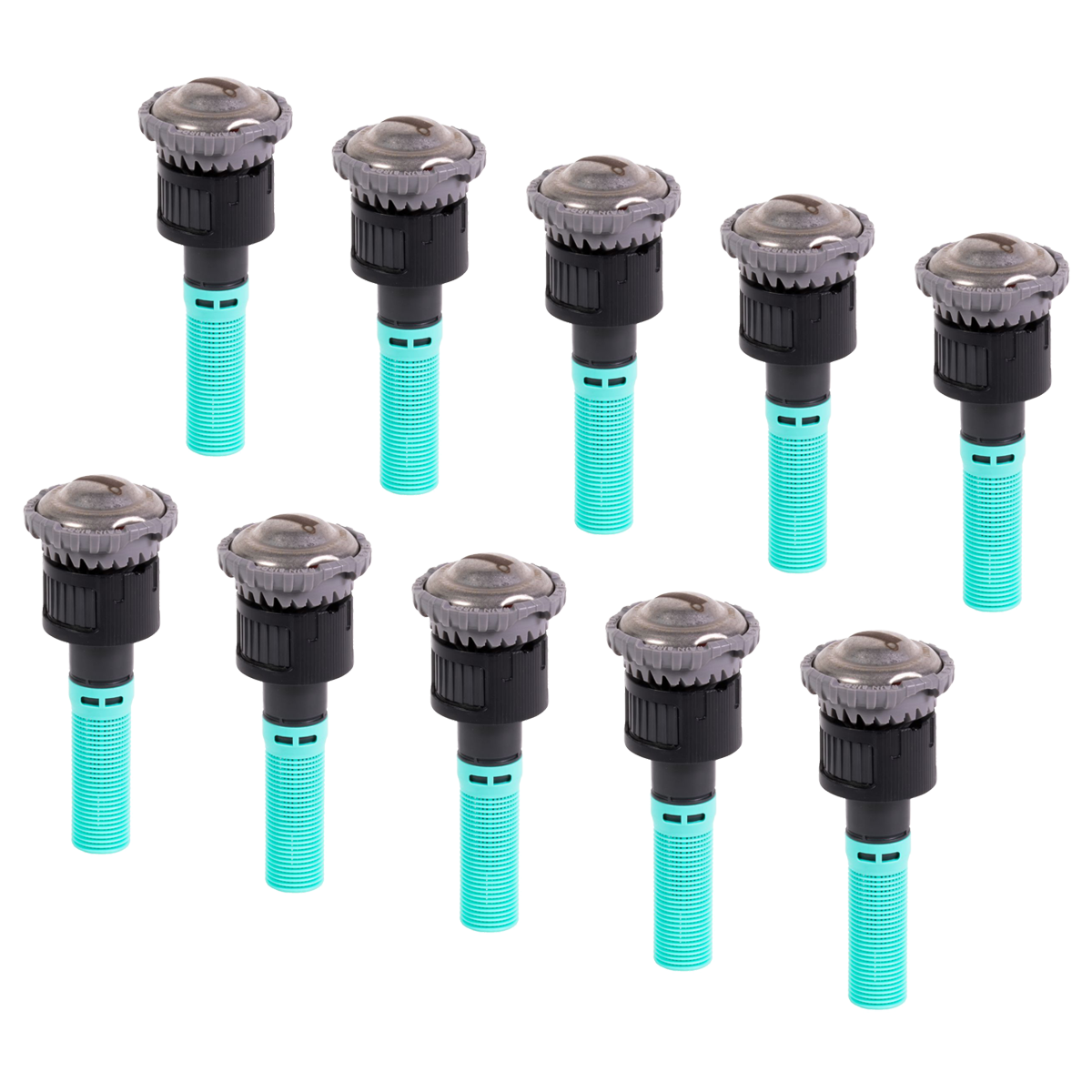 R van 14 rain top bird