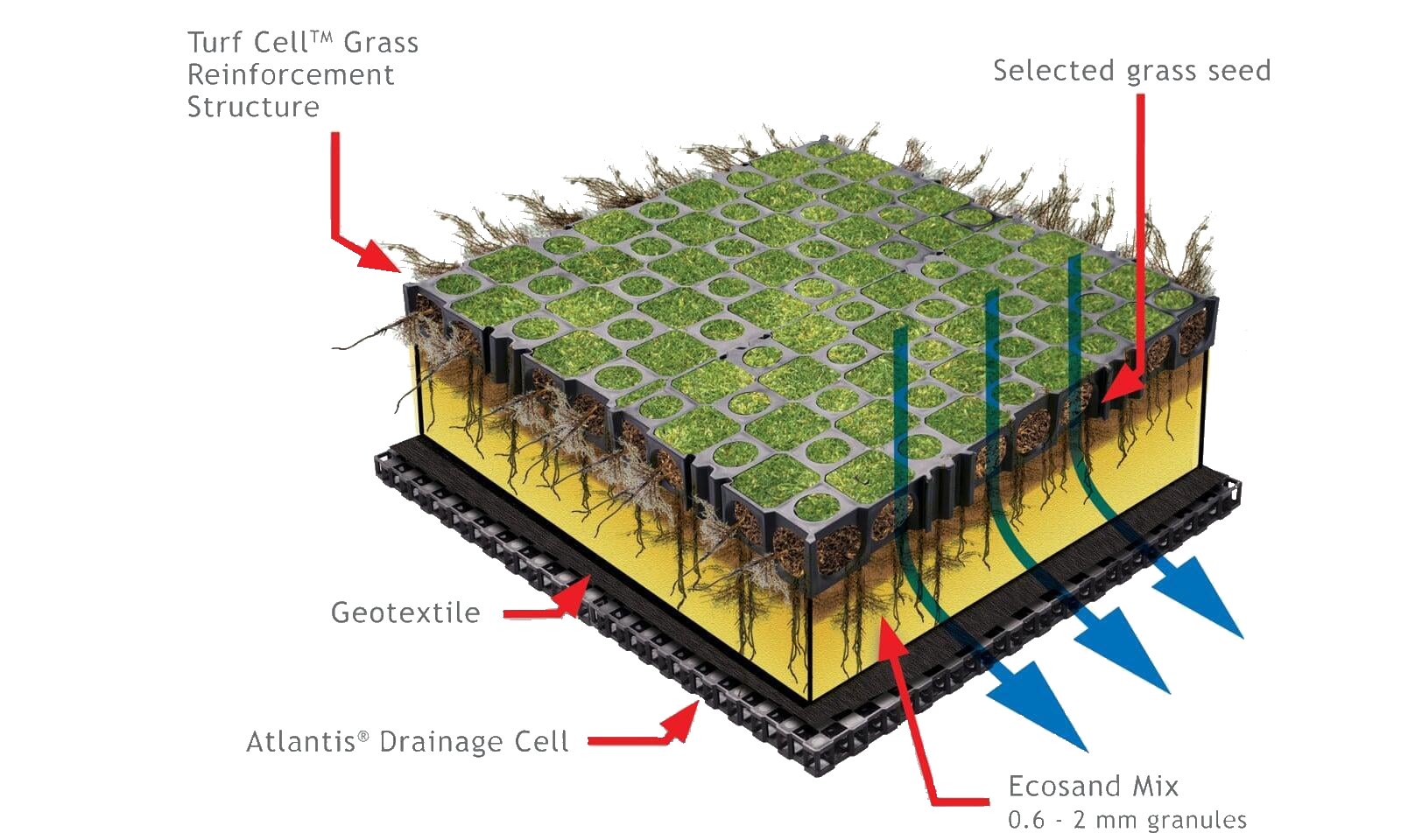 Atlantis - Turf & Gravel Cell