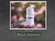 Rain Bird Hard Wired Rain Sensor