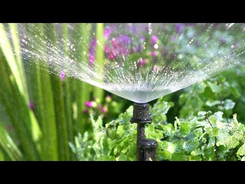 Spectrum 360 Degree Adjustable Spray Spike